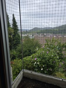 Katzenschutznetz auf einem Balkon/Blumentrog im Aargau als Absturzsicherung für die Katzen. Schütz die Haustiere vor dem Herunterfallen und davonlaufen.